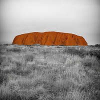 Buy canvas prints of Red Centre, ULURU, Northern Territory, Australia by Pauline Tims