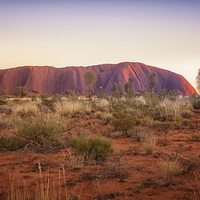 Buy canvas prints of  Sunrise at Uluru by Pauline Tims