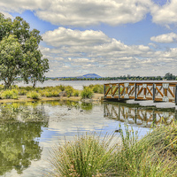 Buy canvas prints of  Lake Wendouree, Victoria, Australia by Pauline Tims