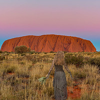 Buy canvas prints of Ghost in the outback by Pauline Tims