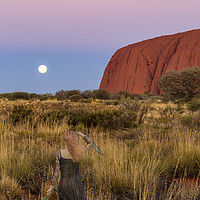 Buy canvas prints of Ghostly Presence at Uluru Sunset by Pauline Tims