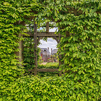 Buy canvas prints of Arundel Castle , through the garden window by Pauline Tims