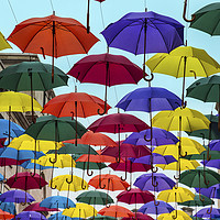 Buy canvas prints of Umbrellas in Bath, UK by Pauline Tims