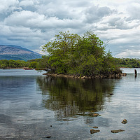 Buy canvas prints of Lough Leane Killarney by Pauline Tims