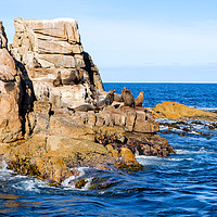 Buy canvas prints of Seal Rock, Wine Glass Bay, Tasmania, Australia by Pauline Tims