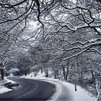Buy canvas prints of Mousehold heath winter road England by Jordan Browning Photo