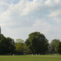 Buy canvas prints of Norwich City Cricket by Jordan Browning Photo