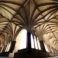 Buy canvas prints of Norwich Cloisters  by Jordan Browning Photo