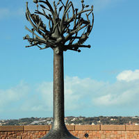 Buy canvas prints of The Freedom Tree by Julie Ormiston