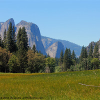 Buy canvas prints of Yosemite National Park by Tom Hard