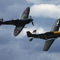 Buy canvas prints of  The Spitfire and Mustang by Tom Hard