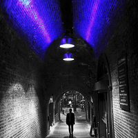 Buy canvas prints of  Tunnel Vision by Tom Hard