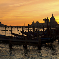 Buy canvas prints of  Gondolas at Sunset by Tom Hard