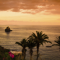 Buy canvas prints of  Madeira Sunset by Tom Hard