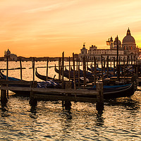 Buy canvas prints of Venice Dusk by Tom Hard