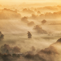 Buy canvas prints of Misty Morning by Tom Hard