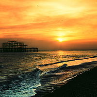 Buy canvas prints of Brighton Sunset by Tom Hard