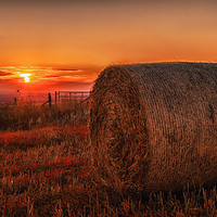 Buy canvas prints of Sunset on the South Downs by Tom Hard
