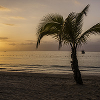 Buy canvas prints of Jamaican Sunset by Tom Hard