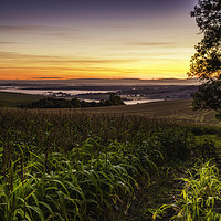 Buy canvas prints of South Downs Sunrise by Tom Hard