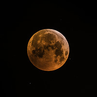 Buy canvas prints of Blood Moon Rises by Tom Hard