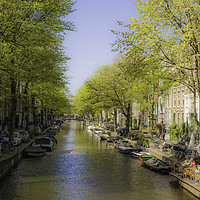 Buy canvas prints of Amsterdam by Tom Hard