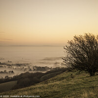 Buy canvas prints of Misty Morning in Sussex by Tom Hard