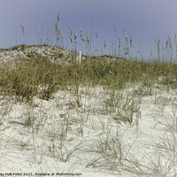 Buy canvas prints of Sand and Sea Oats by Judy Hall-Folde