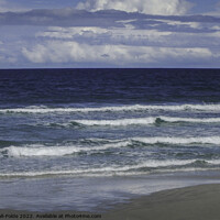 Buy canvas prints of Salty Life by Judy Hall-Folde