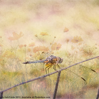 Buy canvas prints of Dreamy Dragonfly by Judy Hall-Folde