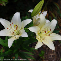 Buy canvas prints of Easter Lilies by Judy Hall-Folde