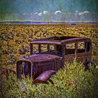 Buy canvas prints of Rusted and Busted by Judy Hall-Folde