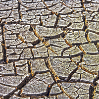 Buy canvas prints of Drought by Judy Hall-Folde