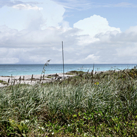 Buy canvas prints of Across the Dunes at Hobe Sound by Judy Hall-Folde