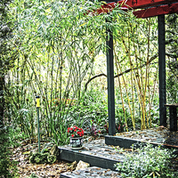 Buy canvas prints of Japanese Garden by Judy Hall-Folde