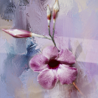 Buy canvas prints of Painted Flowers by Judy Hall-Folde