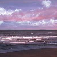 Buy canvas prints of Pink Drama by Judy Hall-Folde