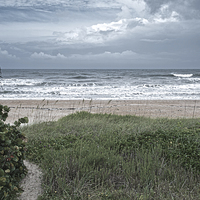 Buy canvas prints of Flagler Beach Path by Judy Hall-Folde