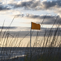 Buy canvas prints of  Yellow Flag Warning by Judy Hall-Folde