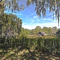 Buy canvas prints of  Old Rural Florida by Judy Hall-Folde