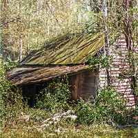 Buy canvas prints of  Tin Roof Rusted by Judy Hall-Folde