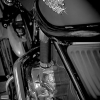 Buy canvas prints of Shining Star of the Biker by Judy Hall-Folde