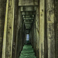 Buy canvas prints of Under the Pier by Judy Hall-Folde