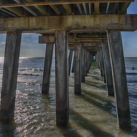 Buy canvas prints of Under the Naples Pier by Judy Hall-Folde