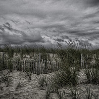 Buy canvas prints of Dunes Day by Judy Hall-Folde