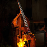 Buy canvas prints of Upright Bass by Sean Needham