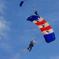 Buy canvas prints of RAF Falcons parachute display team by P H