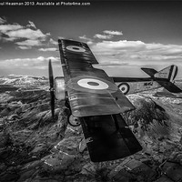 Buy canvas prints of Sopwith Pup Black and white by P H