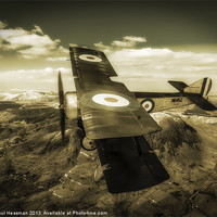 Buy canvas prints of Sopwith Pup Fighter by P H