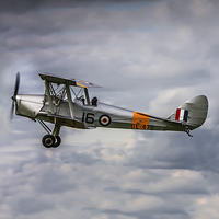 Buy canvas prints of DH Tiger Moth Colour by P H